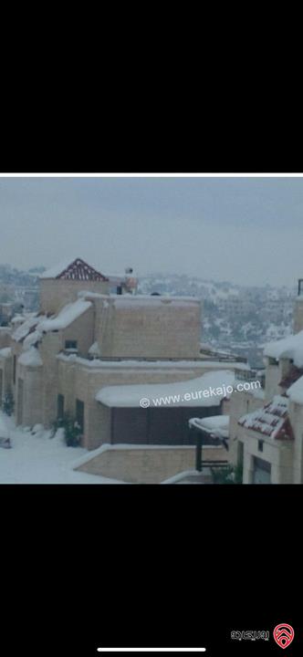 فيلا مساحة 600م على أرض 1 دونم للبيع في عمان - دابوق