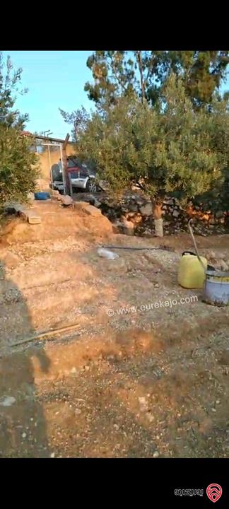 أرض مساحة 546م  للبيع في عمان - ناعور