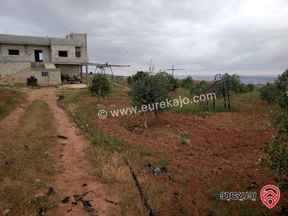 أرض زراعية مساحة 25 دونم للبيع في الكرك - فقوع