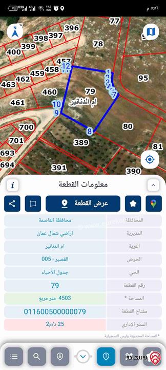 أرض مساحة 4 دونم و 500م للبيع من أراضي شمال عمان - ام الدنانير
