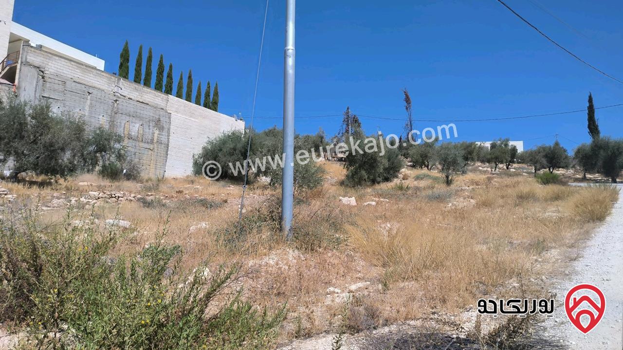 أرض مساحة 2 دونم للبيع من المالك مباشرة في عمان - ناعور