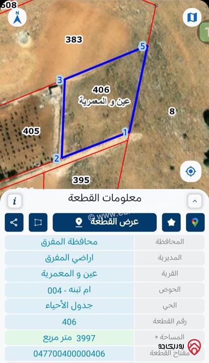 أرض مساحة 4 دونم مميزة للبيع في المفرق – عين والمعمرية