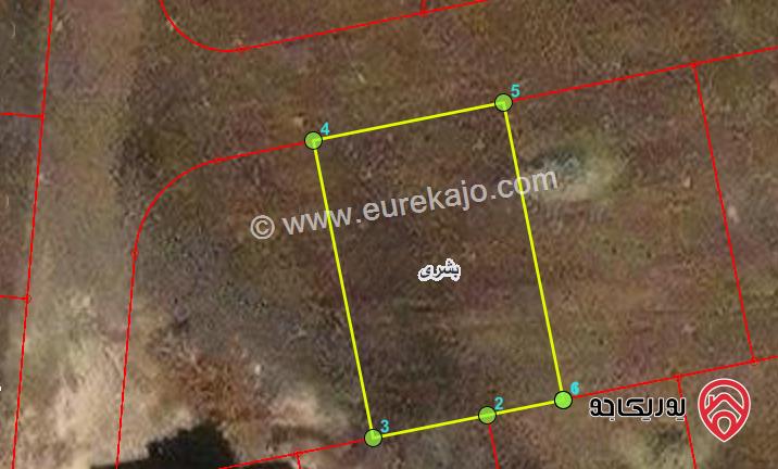 ارض مساحة 787م للبيع في اربد - بشرى ضمن حوض رجوم السود الشمالي 