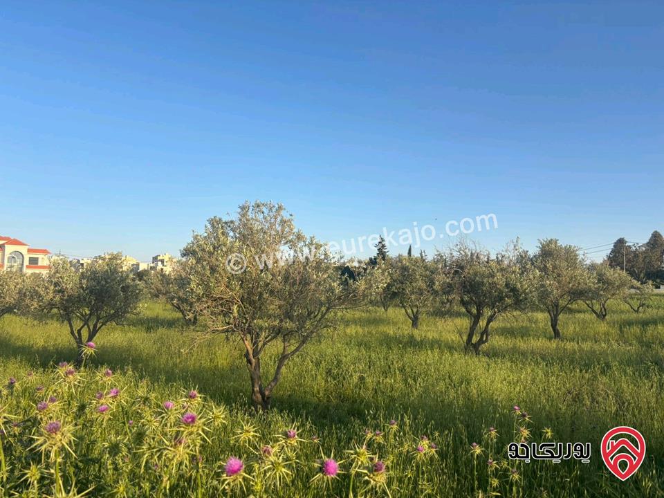 قطعة أرض مساحة 812م للبيع في مادبا - الخطابية 