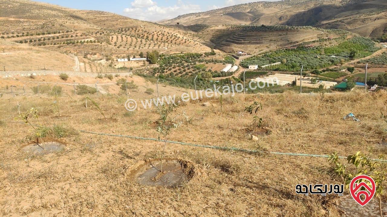 أرض مساحة 3 دونم و 796م قوشان مستقل للبيع من المالك مباشرة في جرش مطلة على سيل جرش، سنسال متر وشيك ارتفاع مترين على كامل القطعة بالاضافة الى شجر زيتون وحمضيات عدد 70
