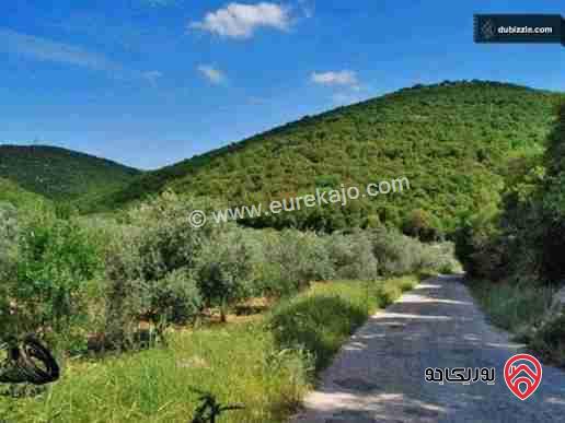 قطعة ارض مساحة 2 دونم للبيع في عجلون، بافضل المناطق، للاستثمار وبناء الأكواخ إطلالة خلابة