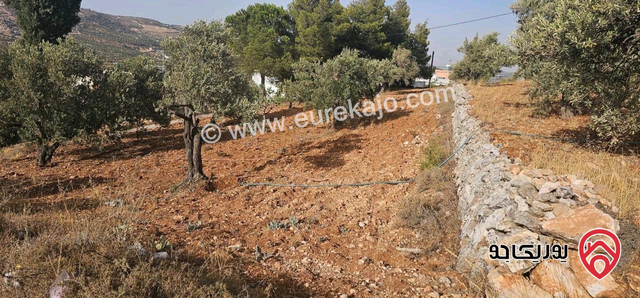 قطعة أرض ريفية مساحة 7 دونم للبيع في في جرش سوف حوض بيدر الحمص 