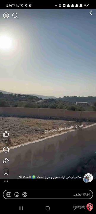 أراضي مساحة 3700م للبيع في عمان - ناعور حسبان مزروعة زيتون