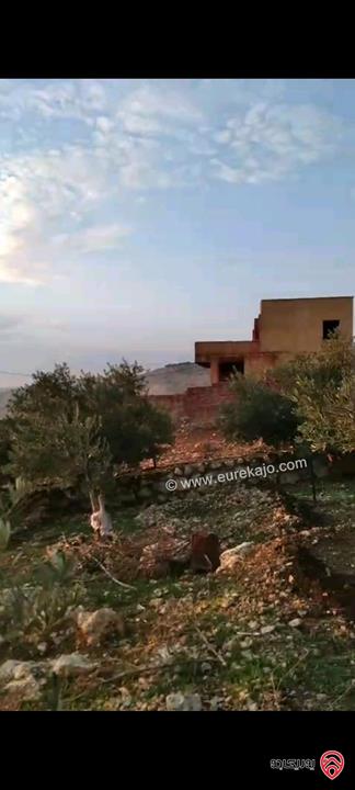 أرض مساحة 546م  للبيع في عمان - ناعور