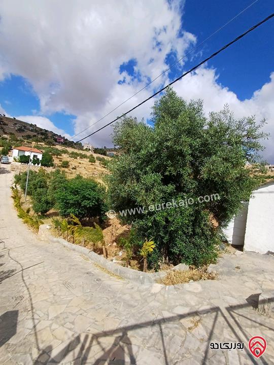 مزرعة مساحة الأرض 2 دونم و 72م عليها بيت ريفي 62م للبيع في الزرقاء - بيرين