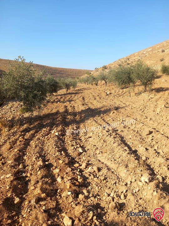 قطعة ارض مساحة 19 دونم و 195م للبيع من أراضي جرش قفقفا