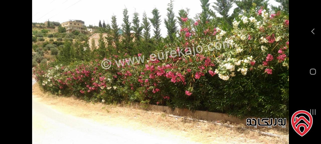أرض مساحة 1693.4 متر مربع للبيع في أم جوزة – السلط