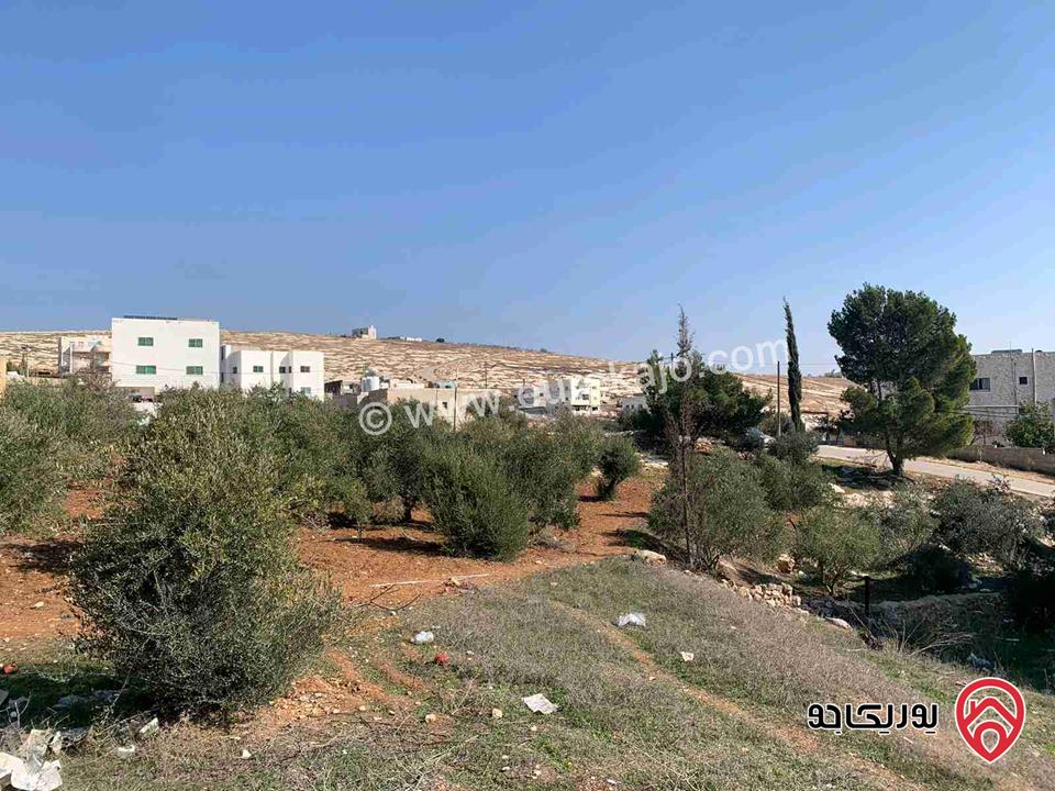 قطعة أرض مساحة 1364م للبيع في اربد - كفر جايز 