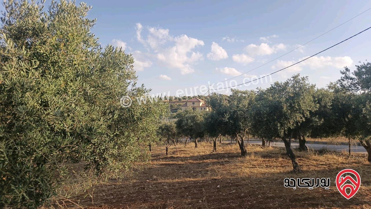 قطع اراضي سكنية مساحة 750م للبيع في عمان - ناعور من ضمن مشروع ابو الغزلان 3 