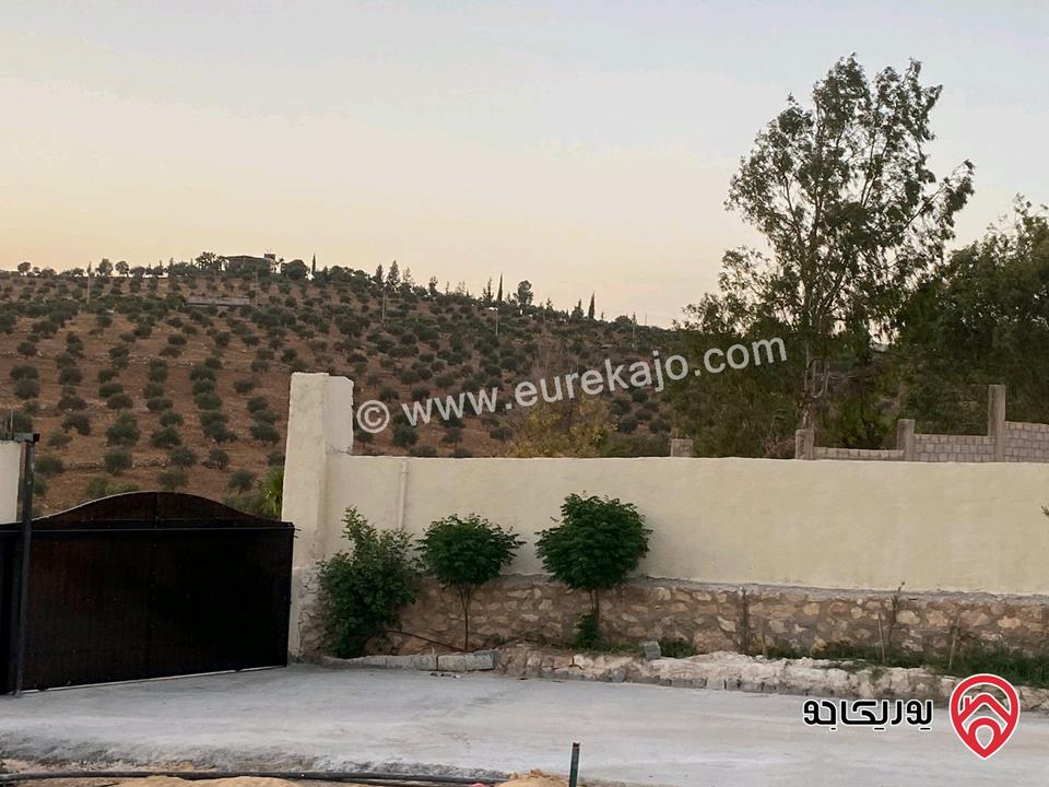 مزرعة مساحة الأرض 4 دونم و 60م للبيع في المفرق - بلعما مع أشجار زيتون مع أشجار زينة