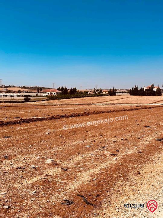 قطعة ارض مساحة 2 دونم للبيع في عمان - ام العمد 