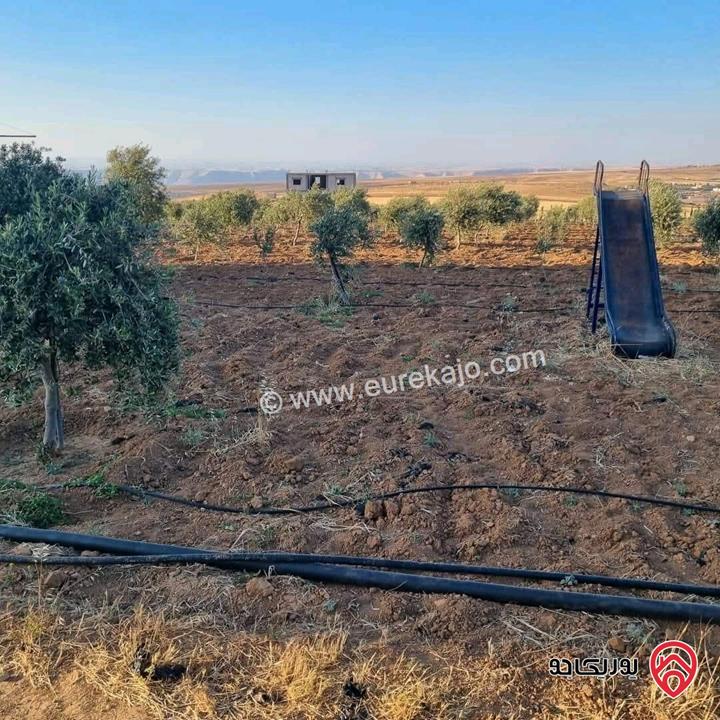 أرض زراعية مساحة 25 دونم للبيع في الكرك - فقوع