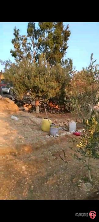 أرض مساحة 546م  للبيع في عمان - ناعور