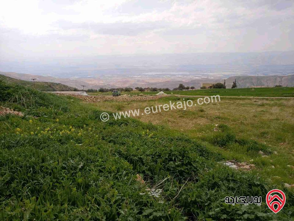 قطعتين أرض مساحة كل قطعة 500 م سند مستقل للبيع في عمان - جلول بسعر مغري