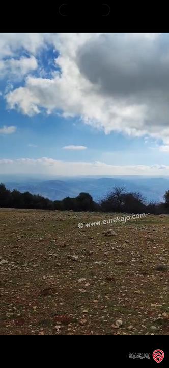 قطعة أرض مساحة 1 دونم للبيع في جرش دبين منطقة سياحية خلابة