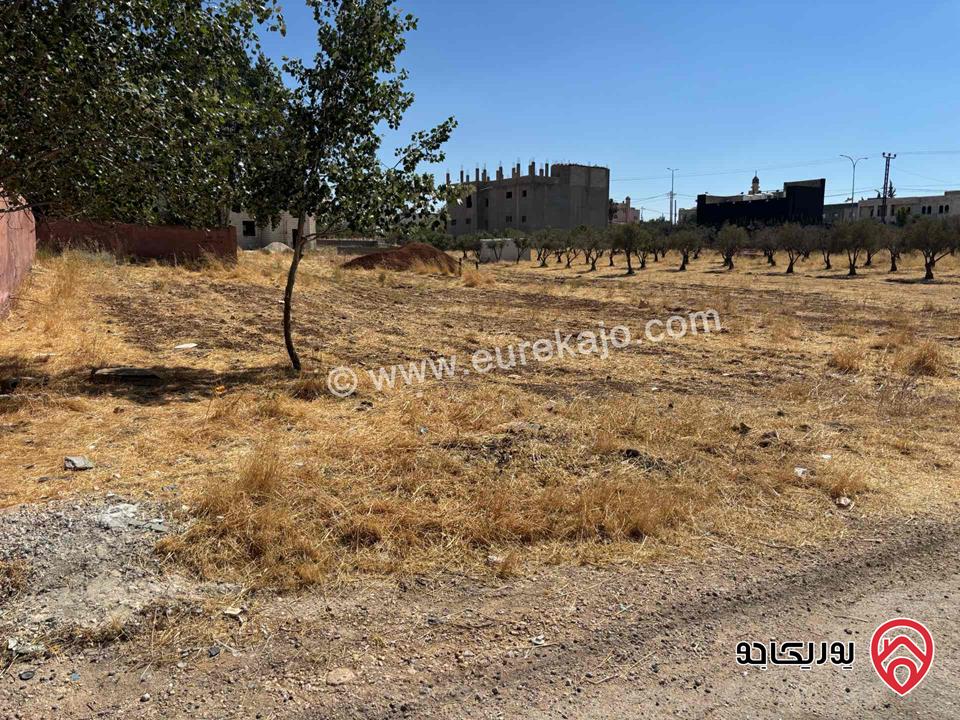 أرض مساحة 1 دونم و 67م للبيع في مادبا - الخطابية 