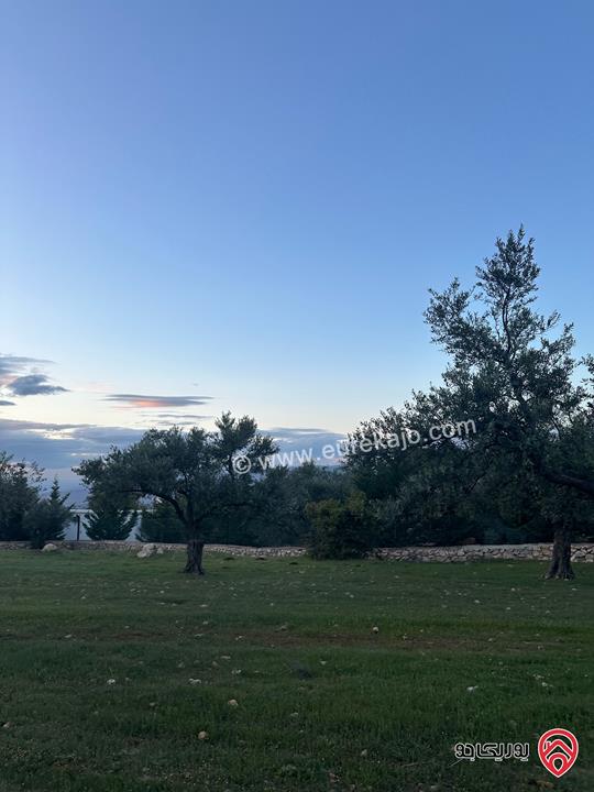 قطعة ارض مساحة 1 دونم و 720م للبيع في السلط زي منطقة مزارع وفلل مزروعة زيتون 