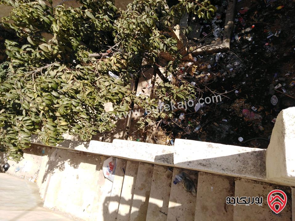 استوديو مفروش مساحة 50م داخلي و 60م خارجي للايجار في عمان - الجبيهة