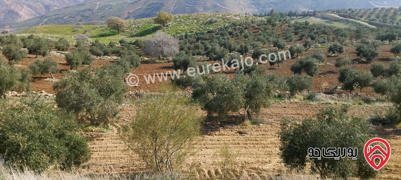 قطعة أرض للبيع في السلط- منطقة صبيحي مساحة 27 دنم ونصف