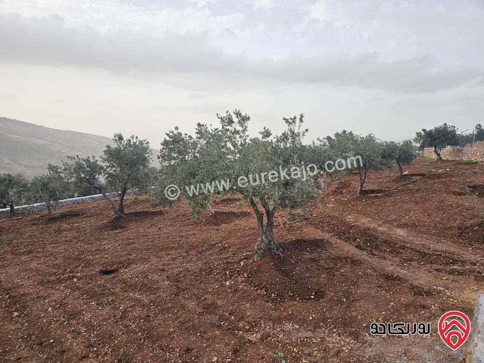 أرض مساحة 3464م للبيع في السلط – الصبيحي