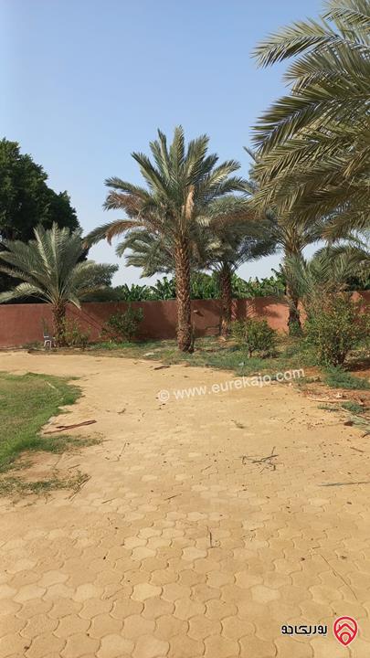 شاليه مساحة البناء 350م على أرض 4 دونم للبيع في منطقة غور نمرين – الشونة الجنوبية  