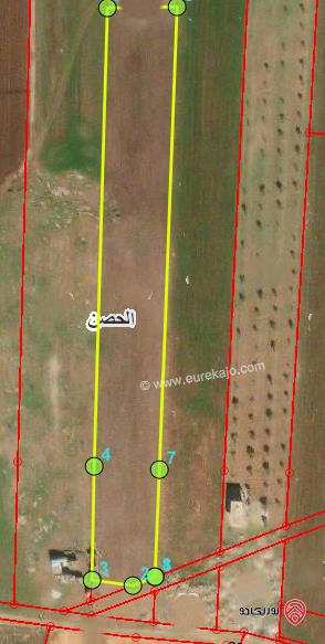 أرض مساحة 7960م - بقوشان مستقل للبيع في اربد - اراضي الحصن حوض الجبيل الشرقي 