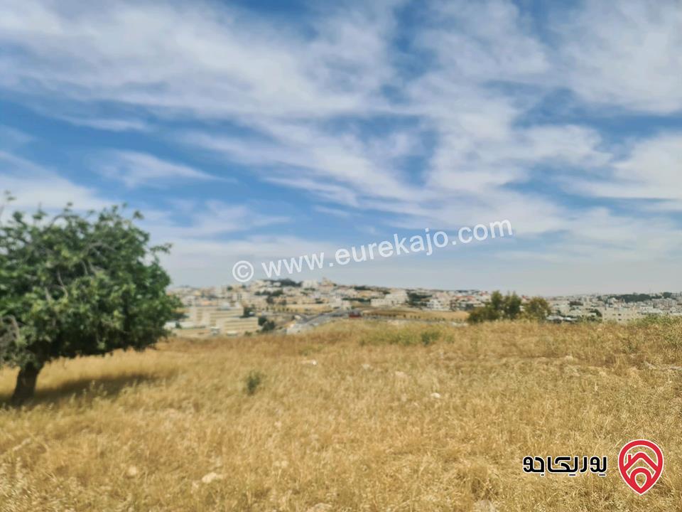 أرض مساحة 750م للبيع في عمان - مرج الحمام الطبقة