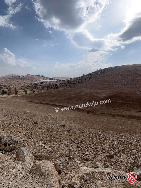 ارض مساحة 12 دونم للبيع في جرش - منطقة قفقفا 
