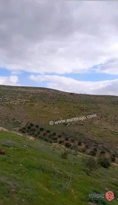 قطعة ارض مساحة 3 دونم و 418م للبيع في المفرق - بلعما