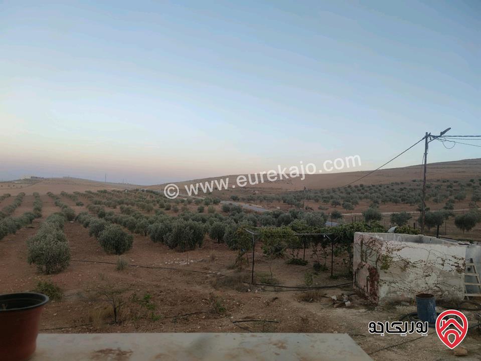 منزل مساحة 140م على أرض 5 دونم للبيع في المفرق قضاء رحاب 