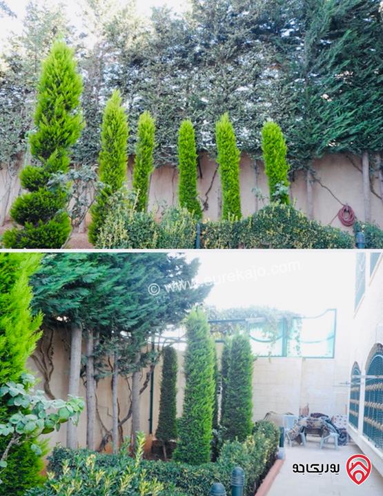 قصر عدد 2 على أرض 4 دونم و 800م للبيع في عمان - طريق المطار الظهير تصلح لرجال الأعمال والشخصيات الكبرى 