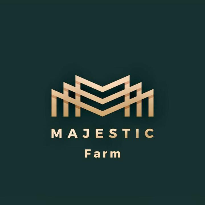 Majestic Farm 