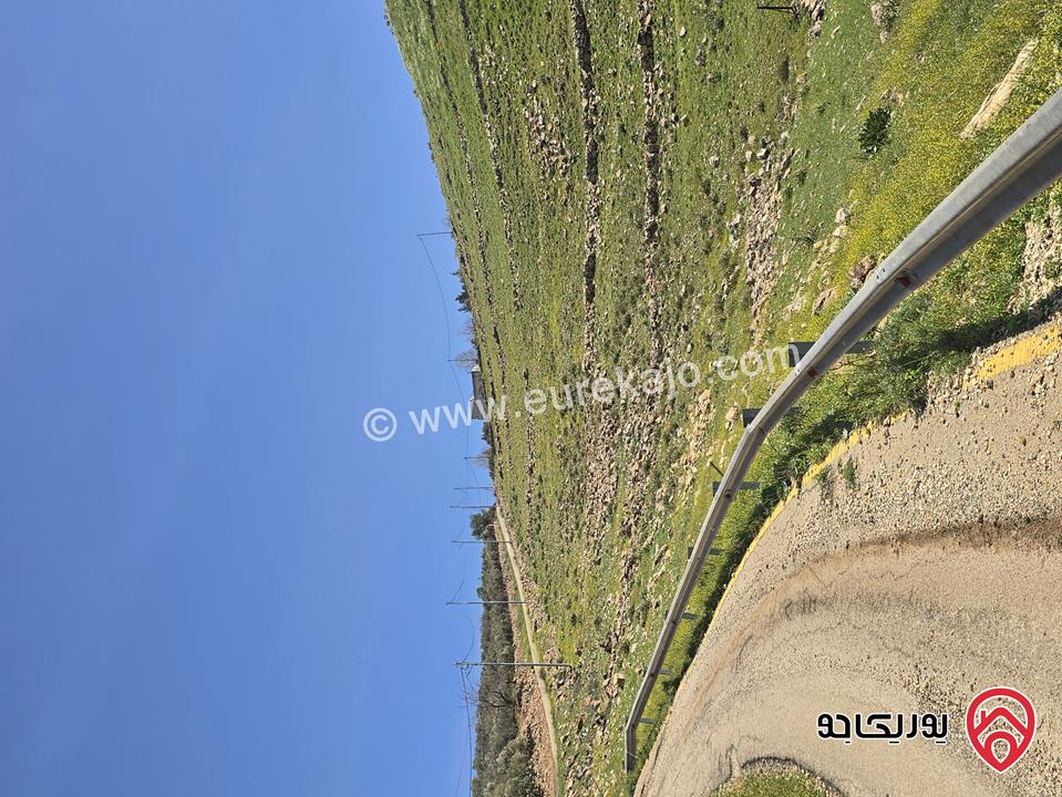 ارض مساحة 5 دونم و 24م للبيع في السلط - أبو طاره
