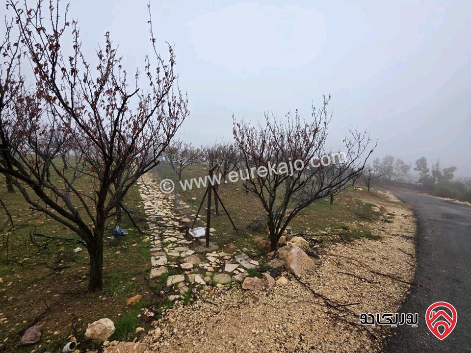 أرض مساحة 750م للبيع في عمان - ناعور