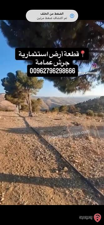 قطعة أرض استثمارية مساحة 10 دونم منتجة للبيع من اراضي جرش عمامة 