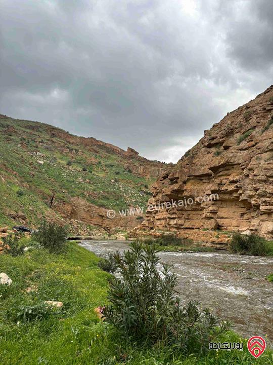 أرض مساحة 516م للبيع من أراضي شمال عمان - ابونصير