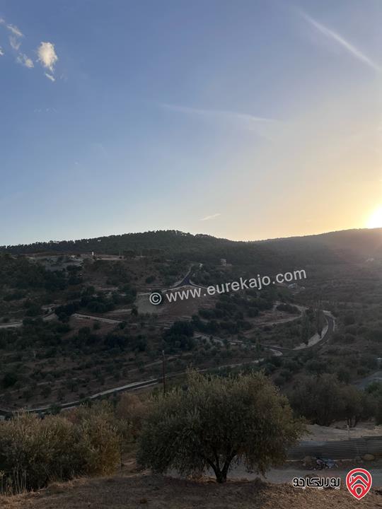 مزرعة مساحة الأرض 6 دونم و 500م للبيع في جرش منطقة جمله قريبة من محمية دبين اطلاله جميلة جداً وسعر حرق وربنا يبارك لصاحب النصيب