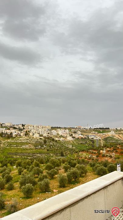 أرض مساحة 1 دونم للبيع في عمان - دابوق 