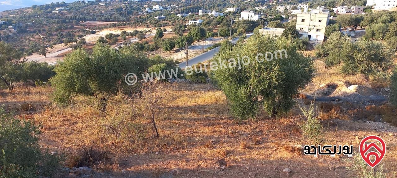 قطعة ارض مفروزة 517م للبيع في عمان - بدر الجديدة