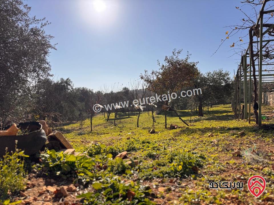 مزرعة مميزة جداً مساحة الأرض 3600م والبناء 300م للبيع في عجلون - عنجرة
